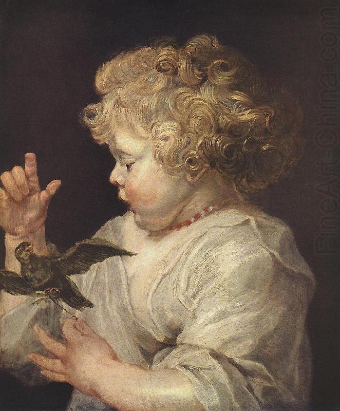 RUBENS, Pieter Pauwel Boy with Bird china oil painting image